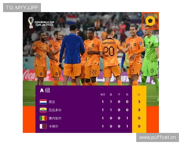 世界杯B组卡塔尔最终排名预测 世界杯B组卡塔尔最终排名预测